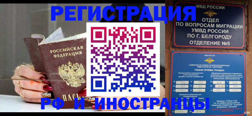 прописка в Камышлове